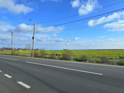 Teren 3,8 ha in Vama Veche pe partea cu marea, la 300 ml de granita 