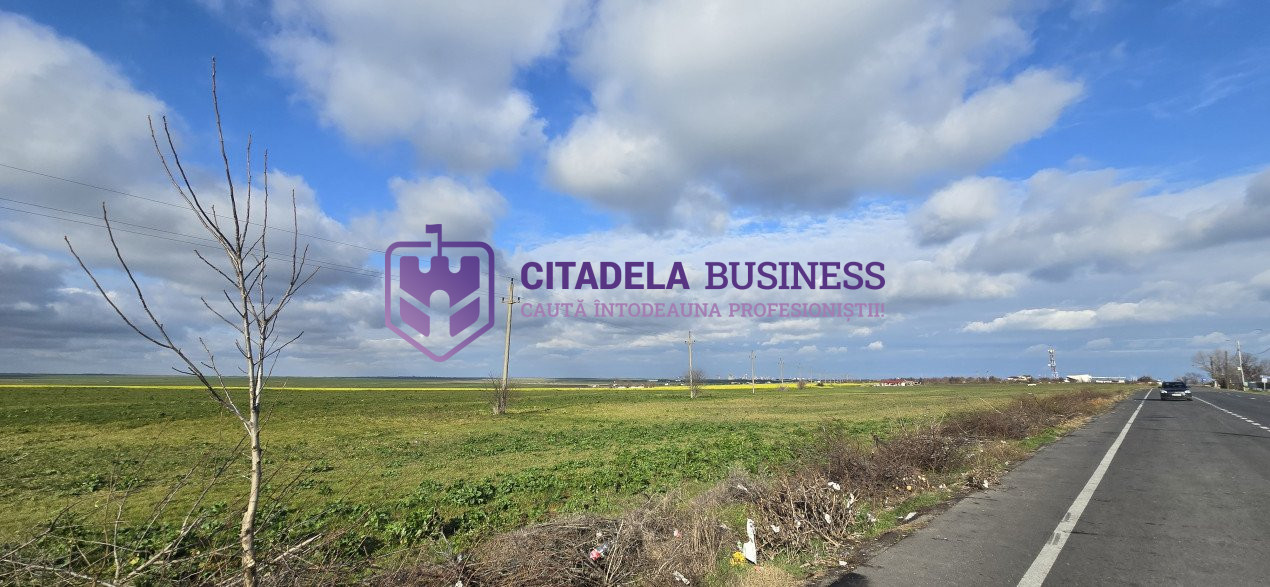 Teren intravilan 3,7 ha in Vama Veche, deschidere la DN39, la 300 ml de granita 