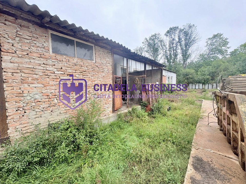 Hala 450 mp in mijlocul padurii Valu lui Traian 1875 mp 