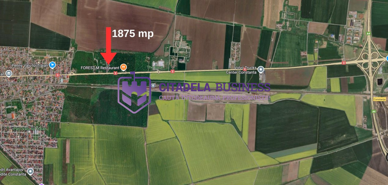 Teren in mijlocul padurii Valu lui Traian 1875 mp si cladire 450 mp hala
