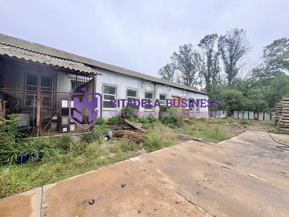 Teren in mijlocul padurii Valu lui Traian 1875 mp si cladire 450 mp hala