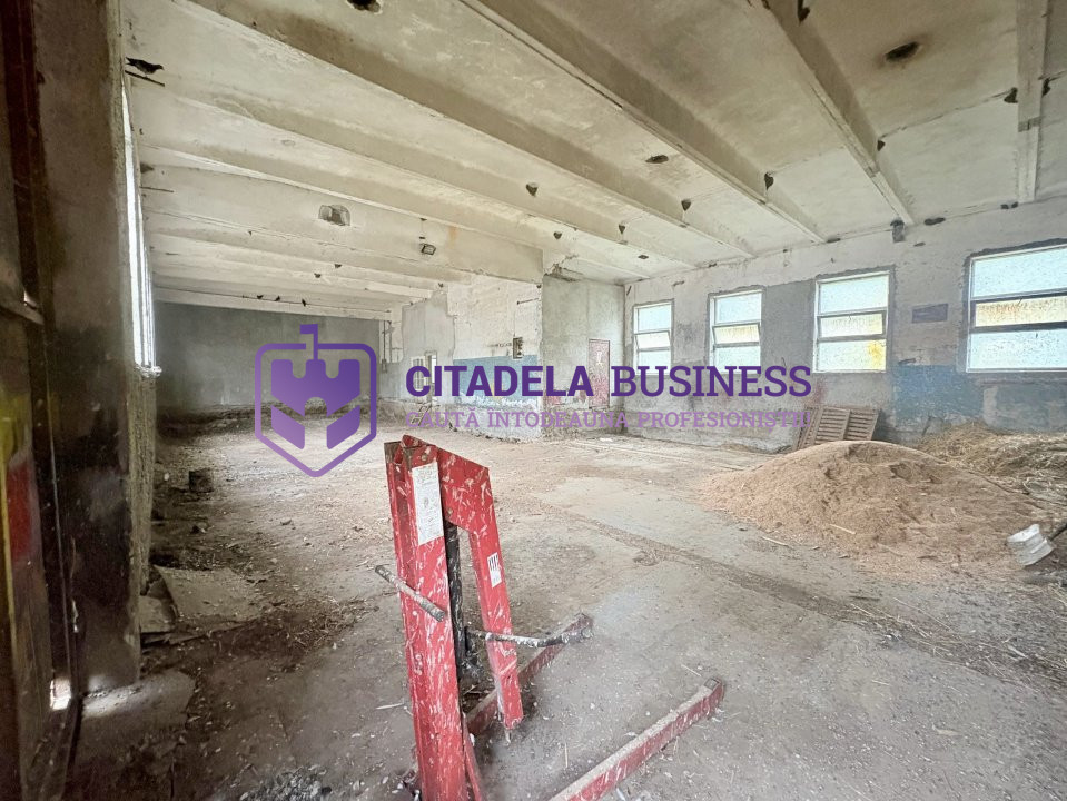 Teren in mijlocul padurii Valu lui Traian 1875 mp si cladire 450 mp hala