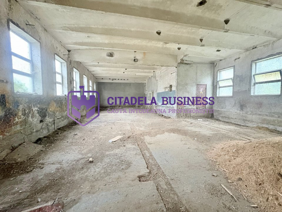 Teren in mijlocul padurii Valu lui Traian 1875 mp si cladire 450 mp hala