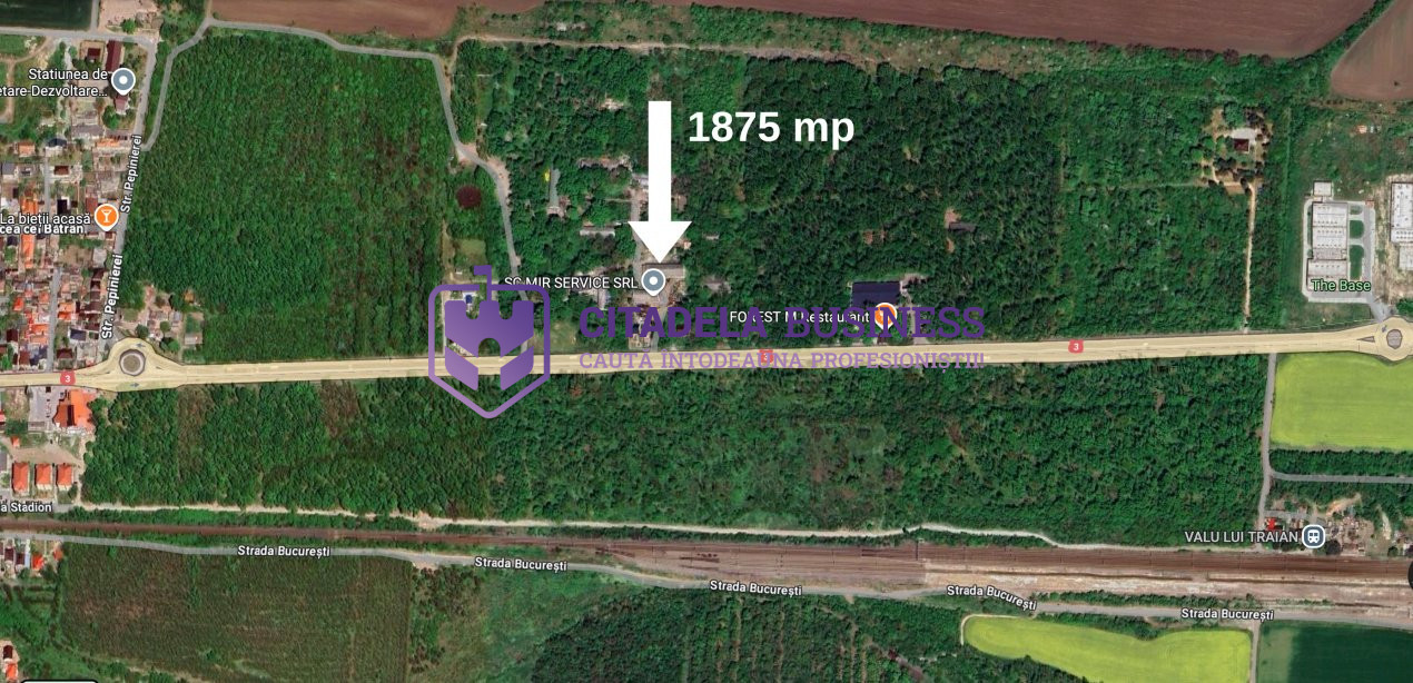 Teren in mijlocul padurii Valu lui Traian 1875 mp si cladire 450 mp hala